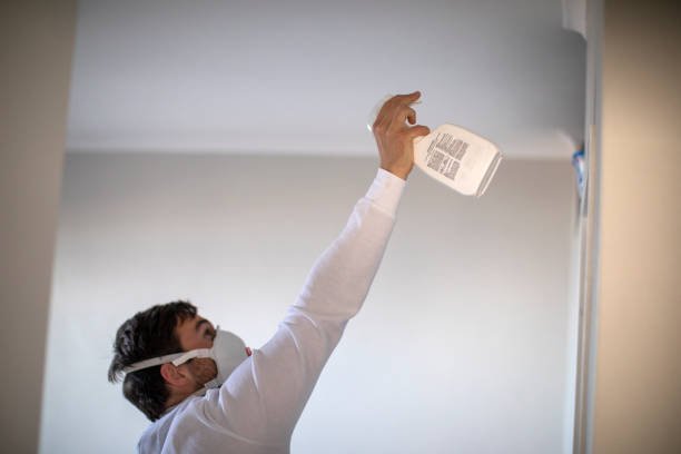 Best Mold Damage Repair  in Old Hill, CT