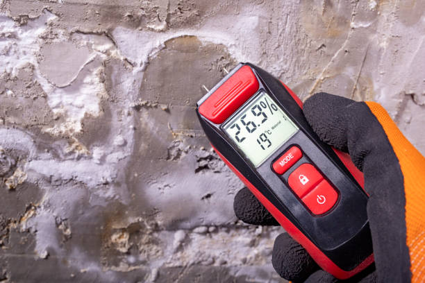 Old Hill, CT Mold Removal Company