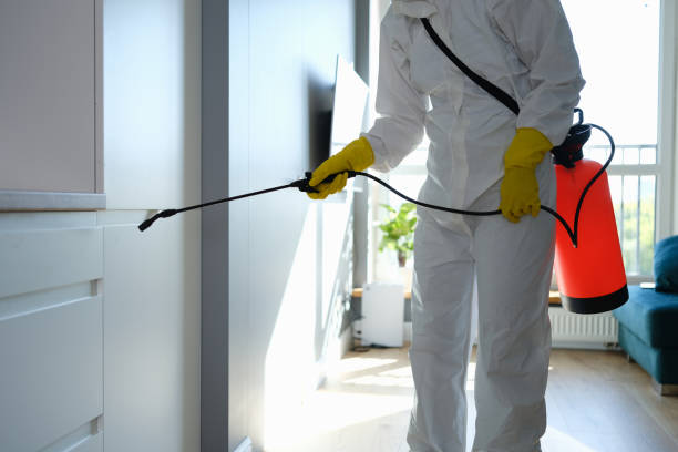 Best Certified Mold Removal  in Old Hill, CT