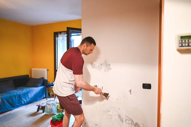 Best Residential Mold Removal  in Old Hill, CT