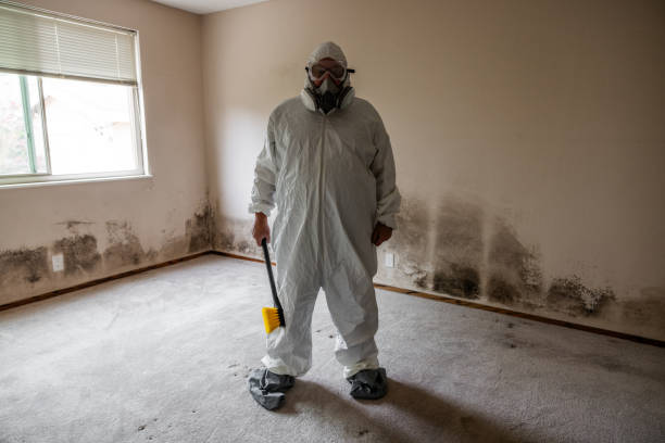 Best Crawl Space Mold Removal  in Old Hill, CT