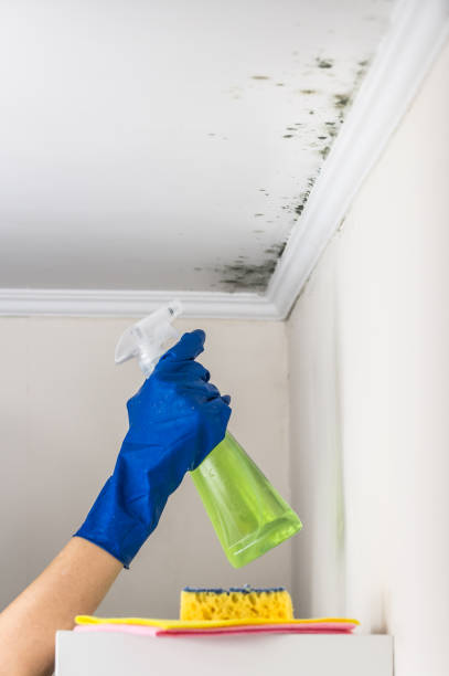 Best Emergency Mold Removal  in Old Hill, CT